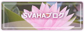 ママ＆プレママの子育て応援サロン『ＳＶＡＨＡ』ブログ